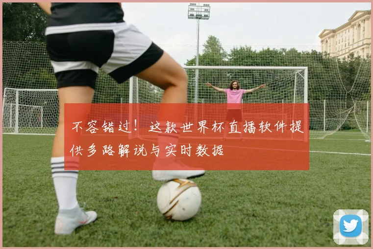 不容错过！这款世界杯直播软件提供多路解说与实时数据