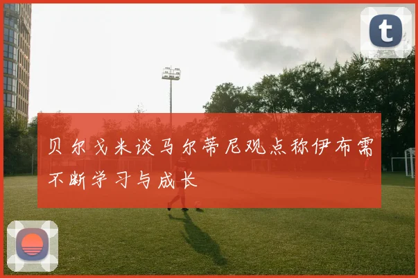贝尔戈米谈马尔蒂尼观点称伊布需不断学习与成长